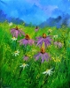 Rudbeckias 