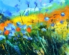 A day in summer 
