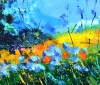 A day in summer 
