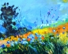 A day in summer 
