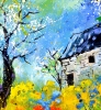 The old house 