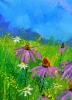 Rudbeckias 