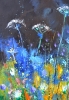 Wild flowers 