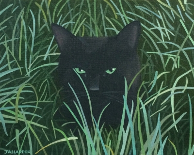 Cat In The Grass