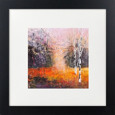 Colours of Autumn, Silver Birch trees
