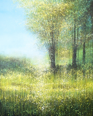 Forest Edge Summer Trees