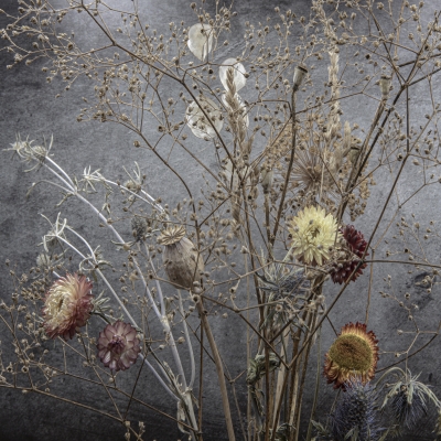 Momento Mori: Autumnal Stillness 3 