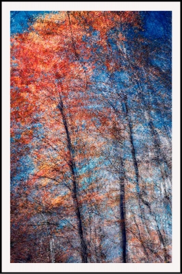 Phantom Structures: Energy of Light and Color #3