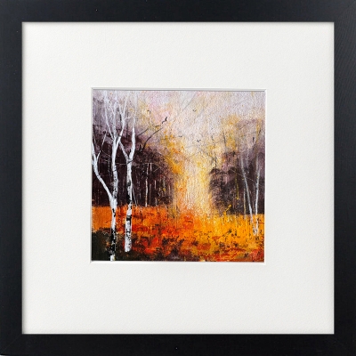 Autumn Silver Birches framed