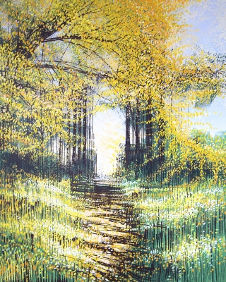 Sunlight Through Autumn Trees