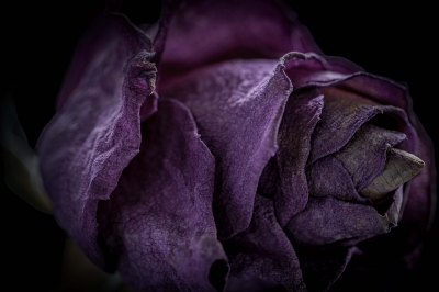 Momento Mori: Shared Seasons 3
