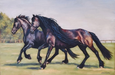 Evening Gallop