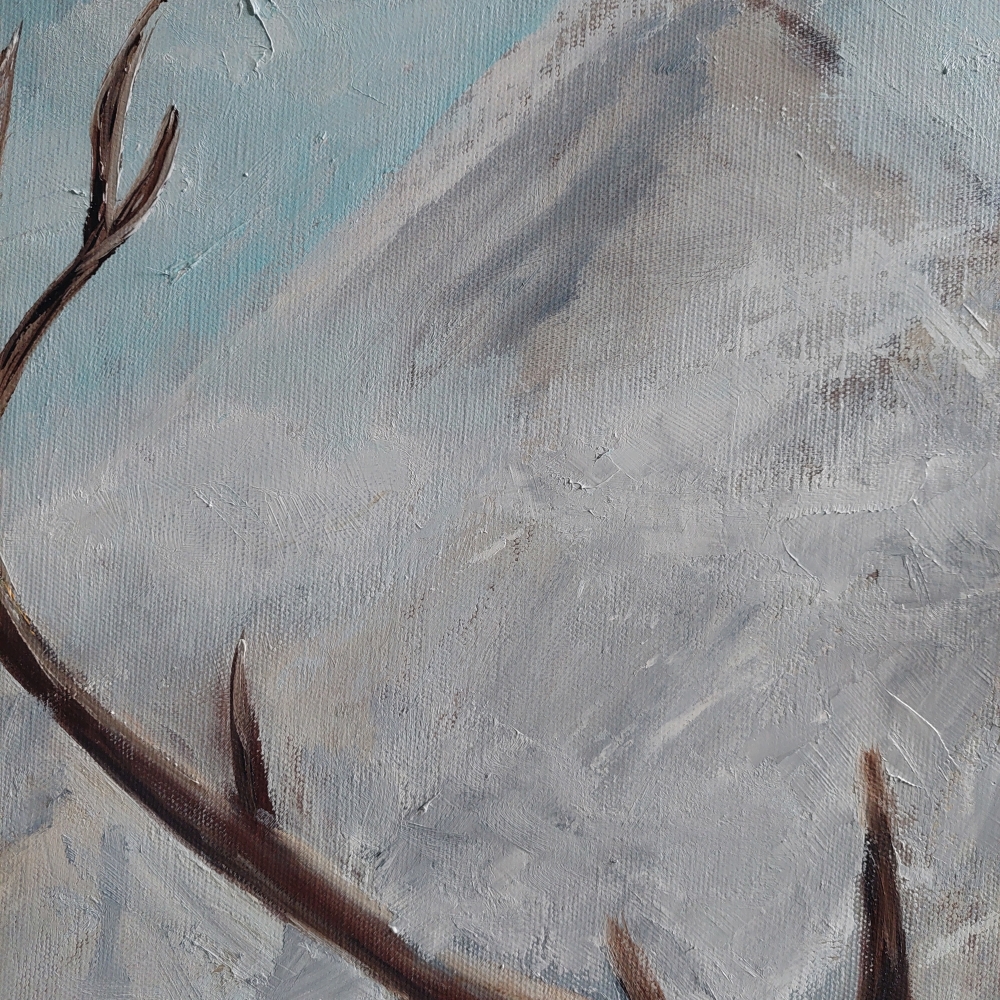 Stag in the Wilderness