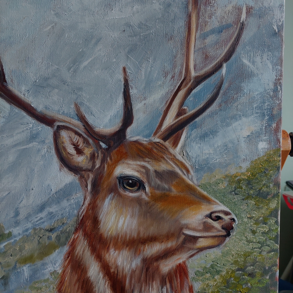 Stag in the Wilderness