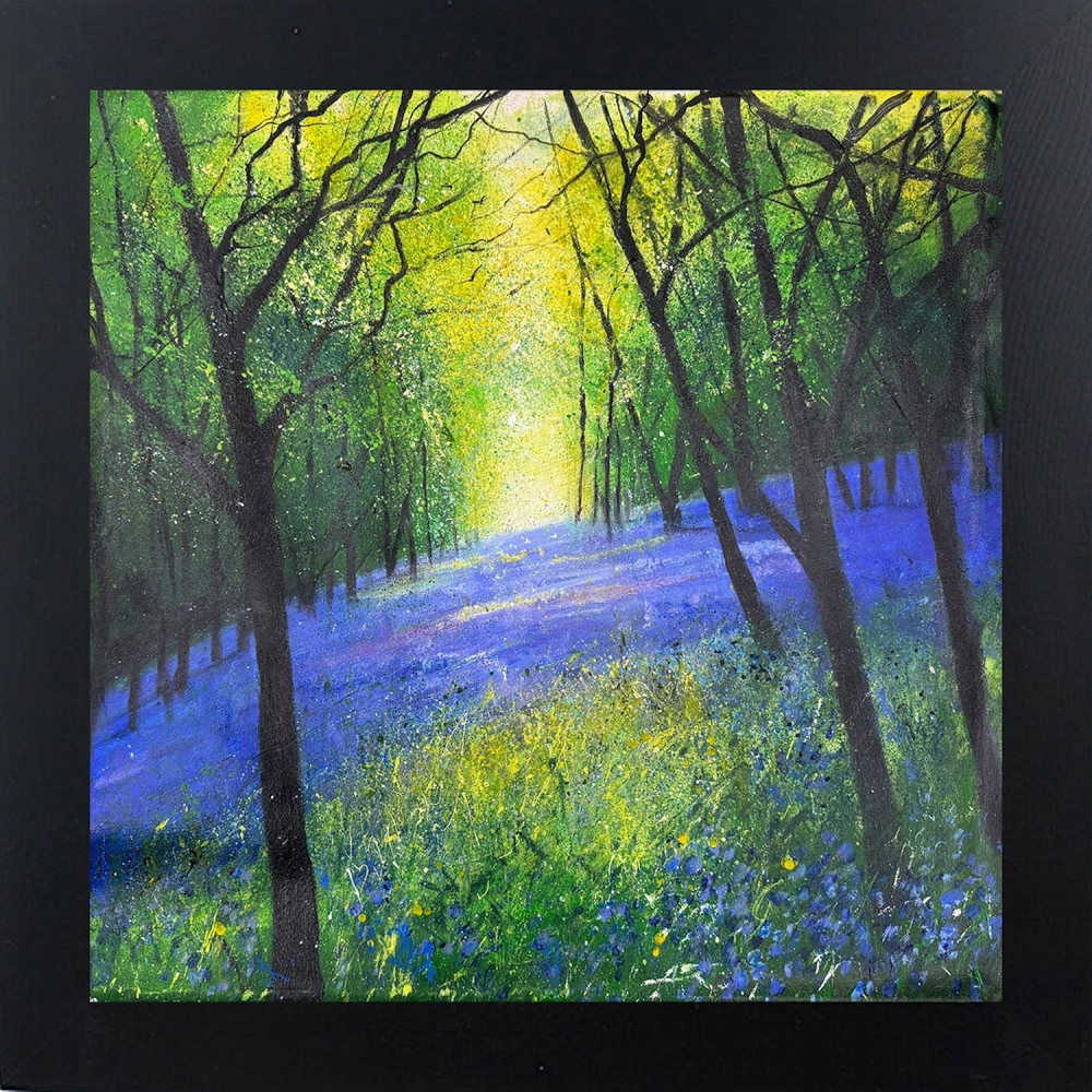 Carpet of Woodland Bluebells