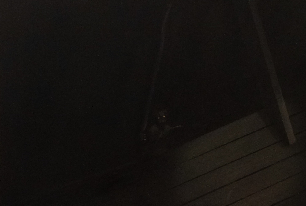 In Fear of Sleep (the princess and the incubus)