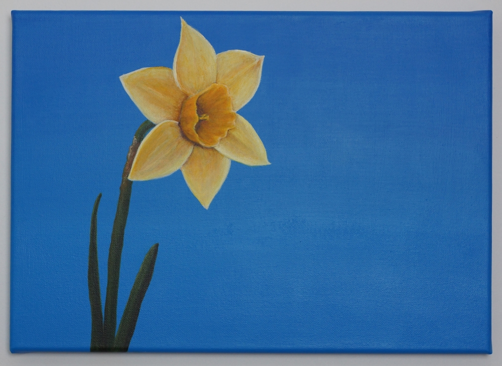 Daffodil