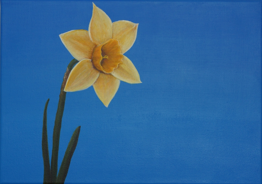 Daffodil