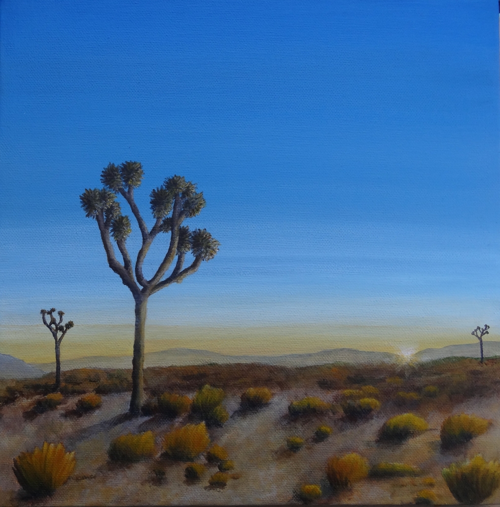 Sunrise Among The Joshua Trees