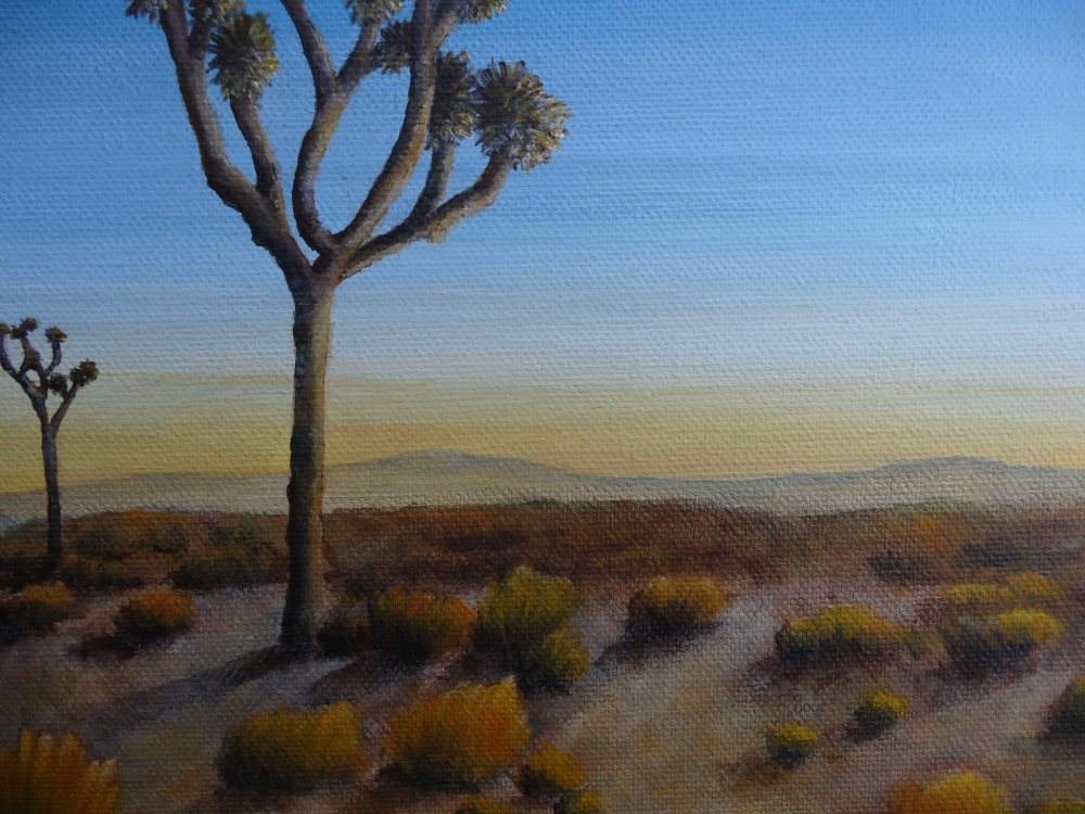 Sunrise Among The Joshua Trees