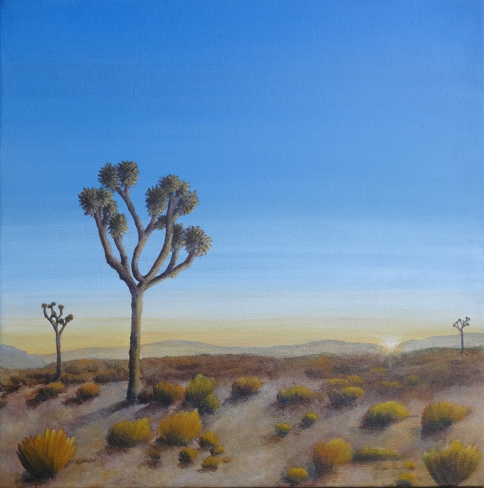 Sunrise Among The Joshua Trees