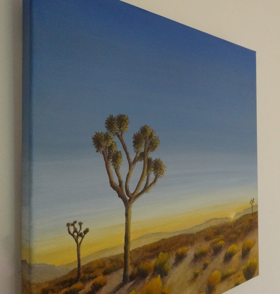 Sunrise Among The Joshua Trees