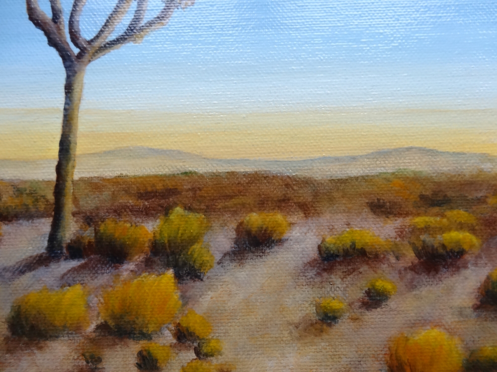 Sunrise Among The Joshua Trees