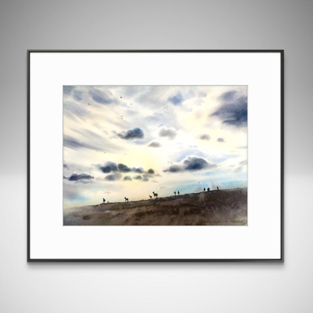 Rocky Mountain National Park