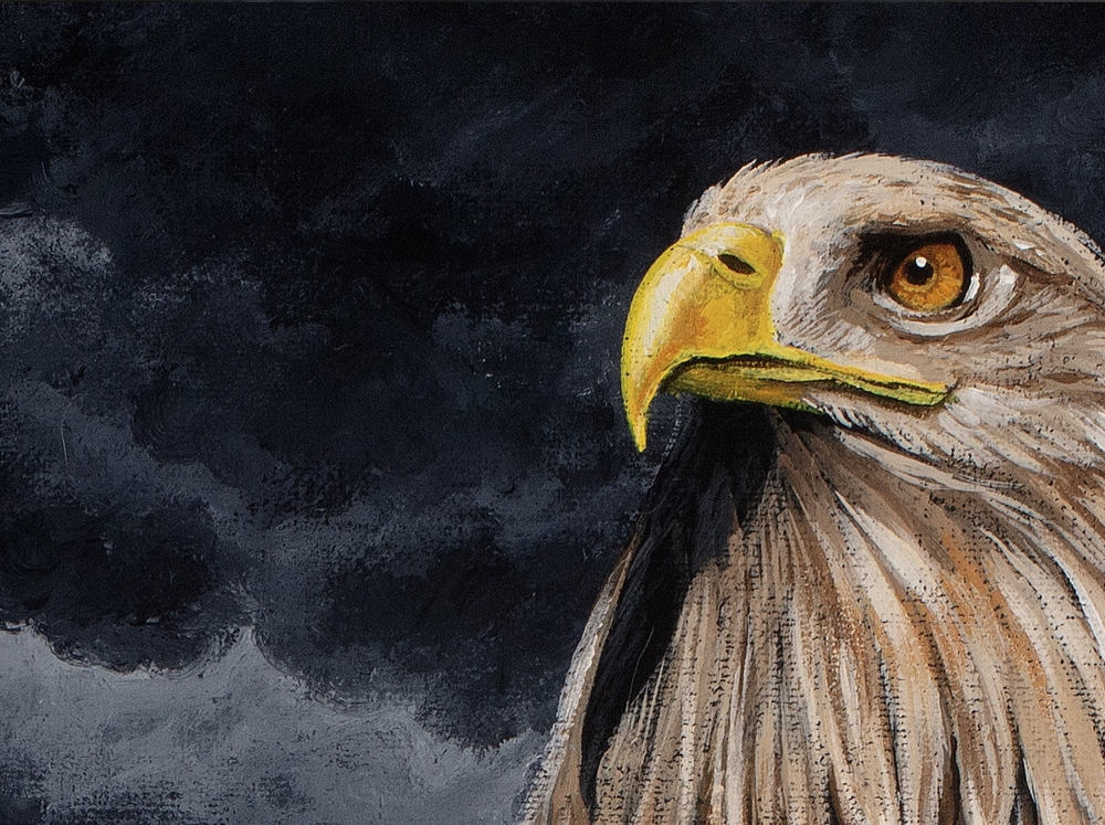 Covered by His Feathers