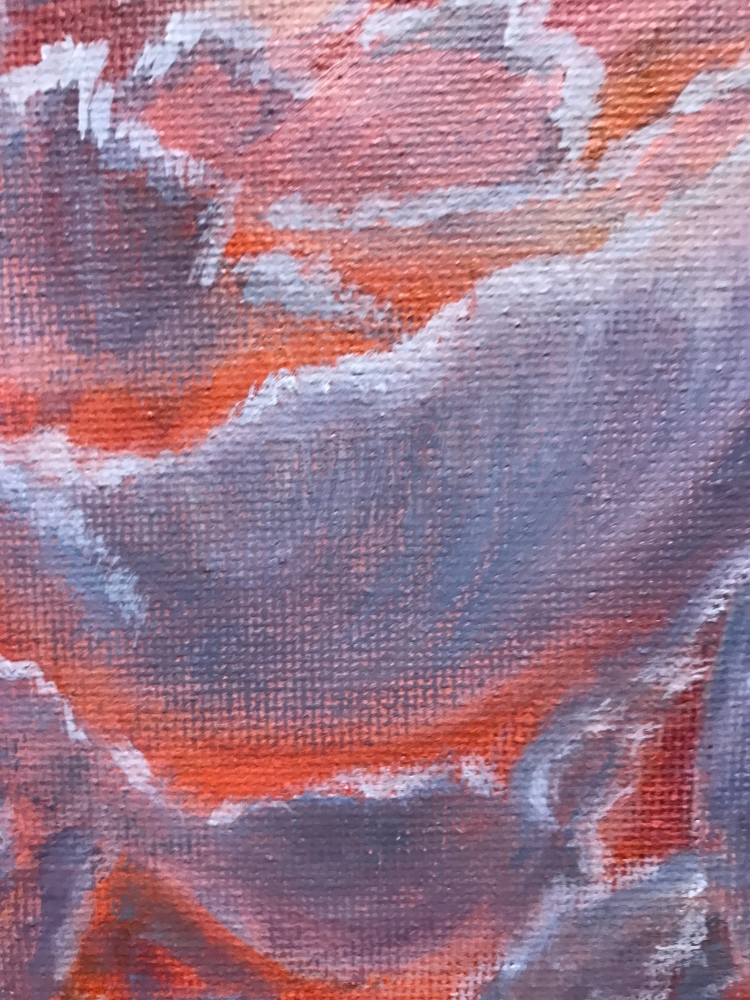 \"Gentle Rose Elegance\"