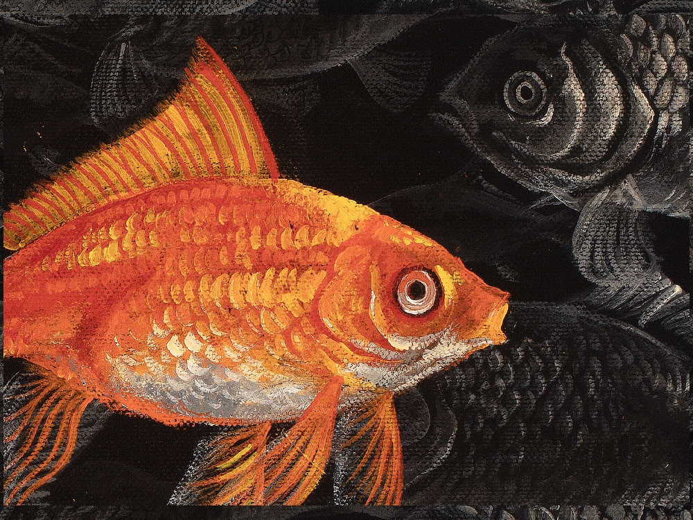 The Goldfish