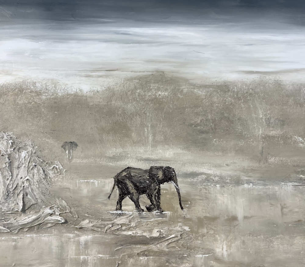 Shadows in the Serengeti 