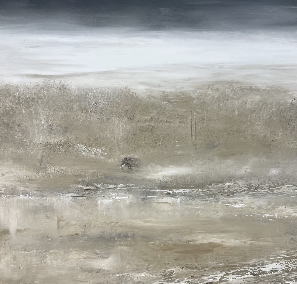 Shadows in the Serengeti 