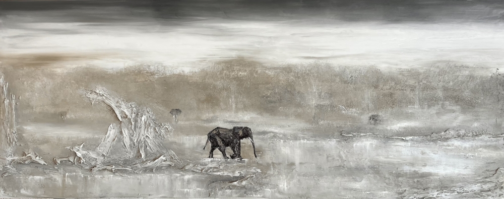 Shadows in the Serengeti 