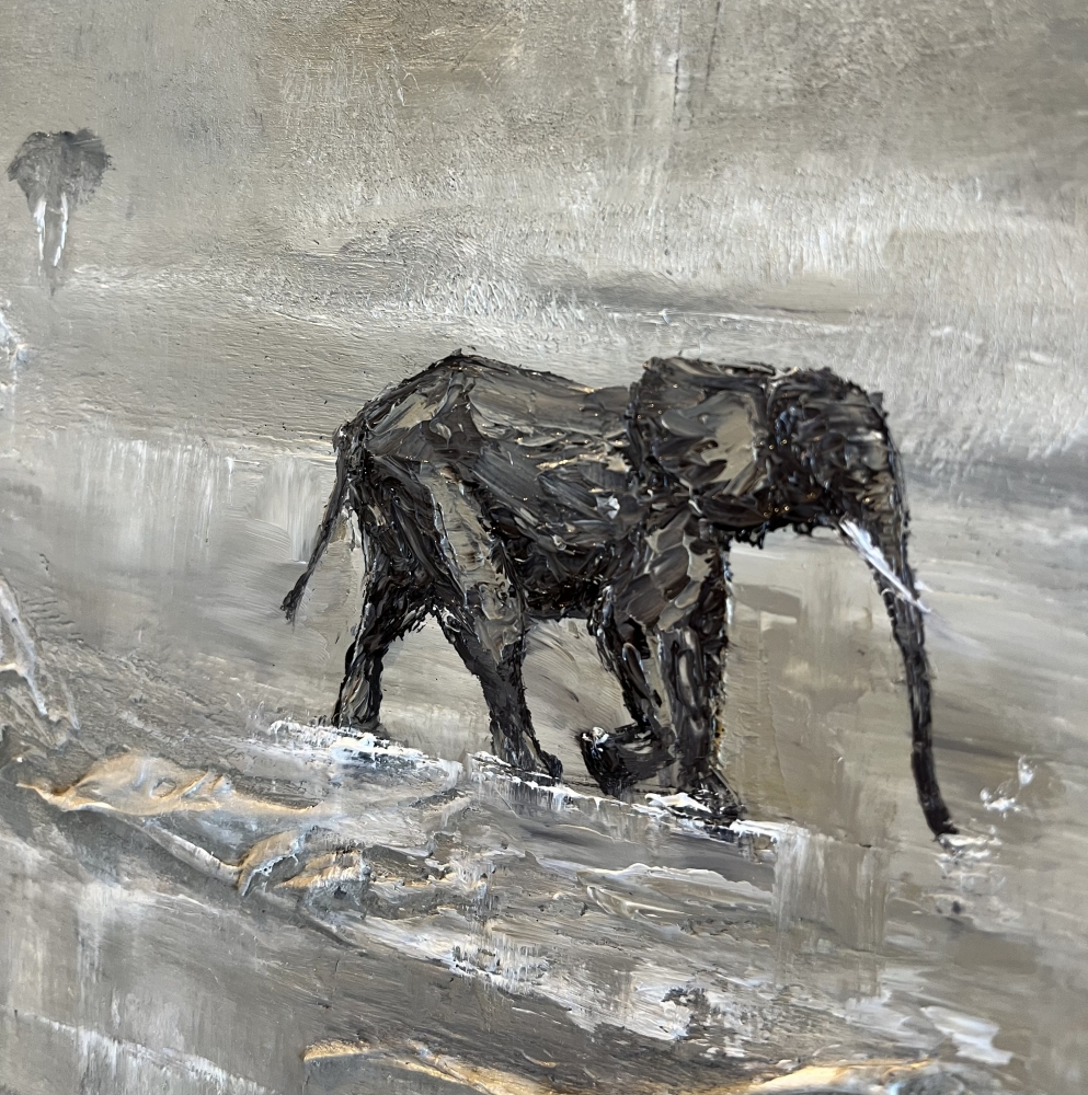 Shadows in the Serengeti 