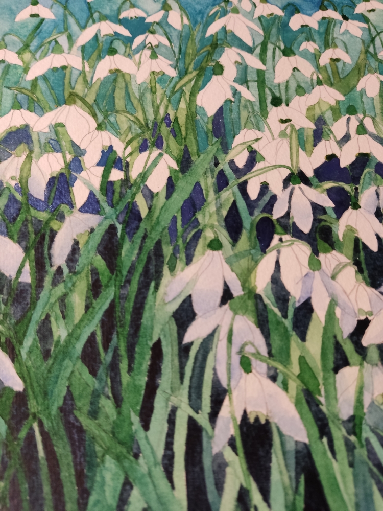 Shimmering Snowdrops 
