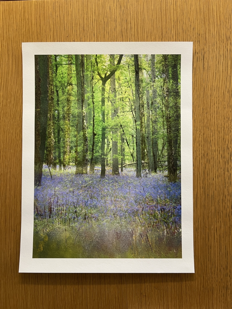 Return of the spring