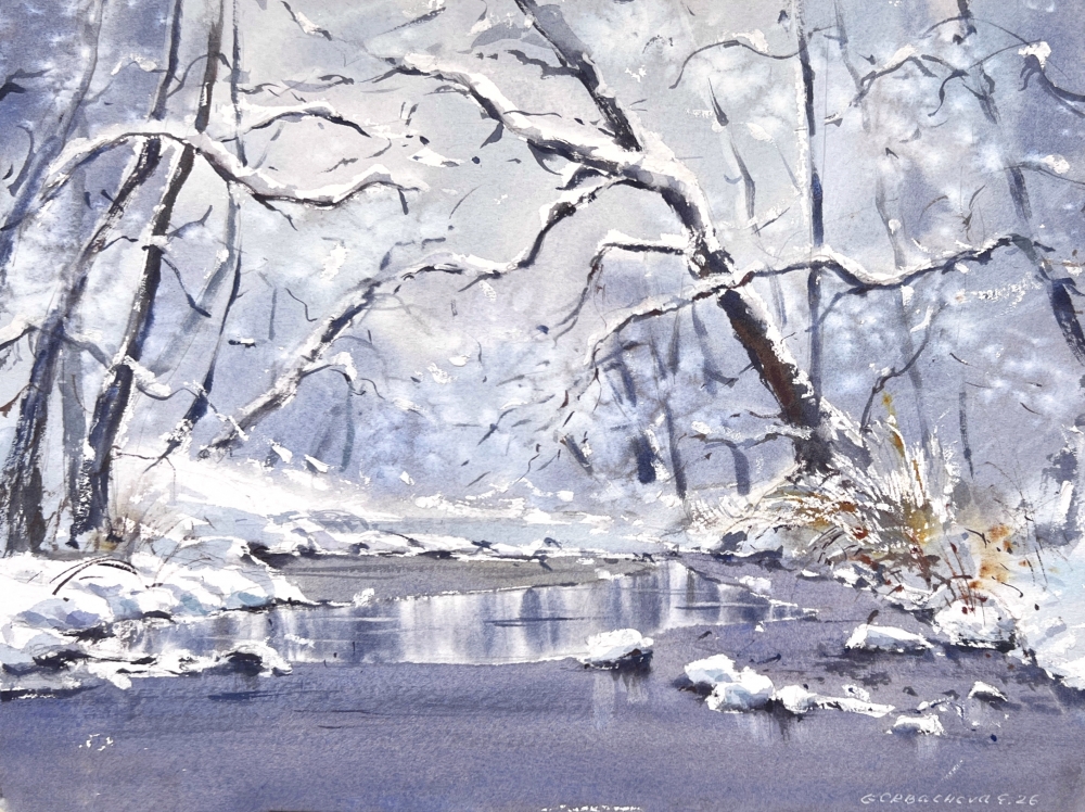 Winter’s Gentle Lace