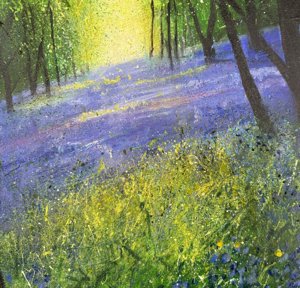 Carpet of Woodland Bluebells