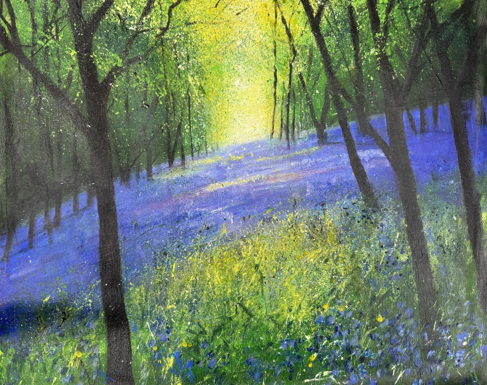 Carpet of Woodland Bluebells