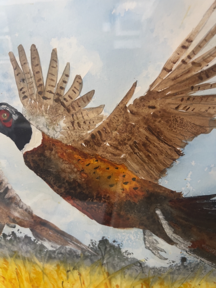 Gerald & Thelma Pheasants