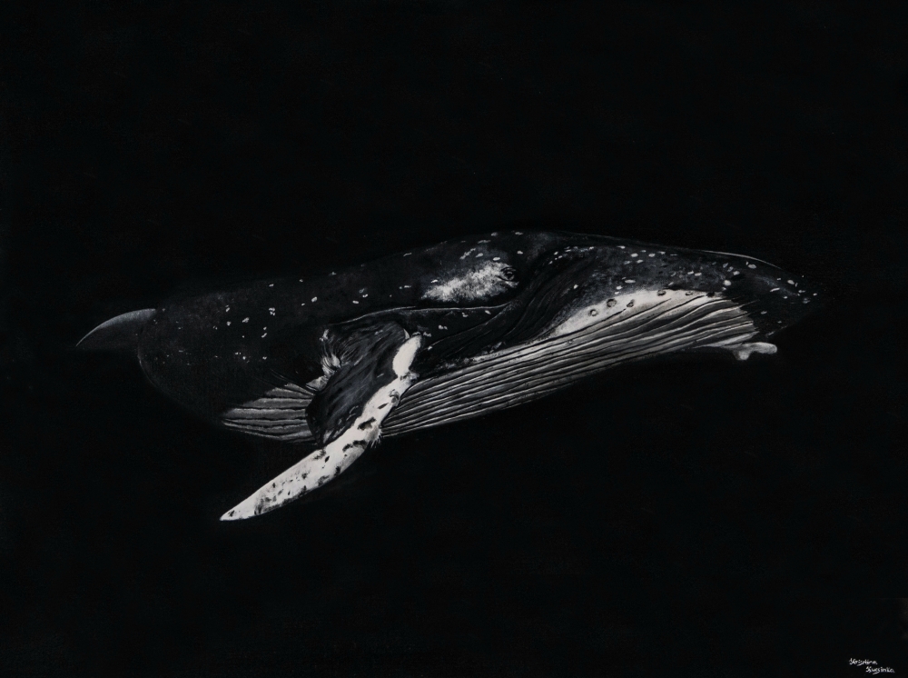 \"Songs of the Sea\" original humpback whale painting