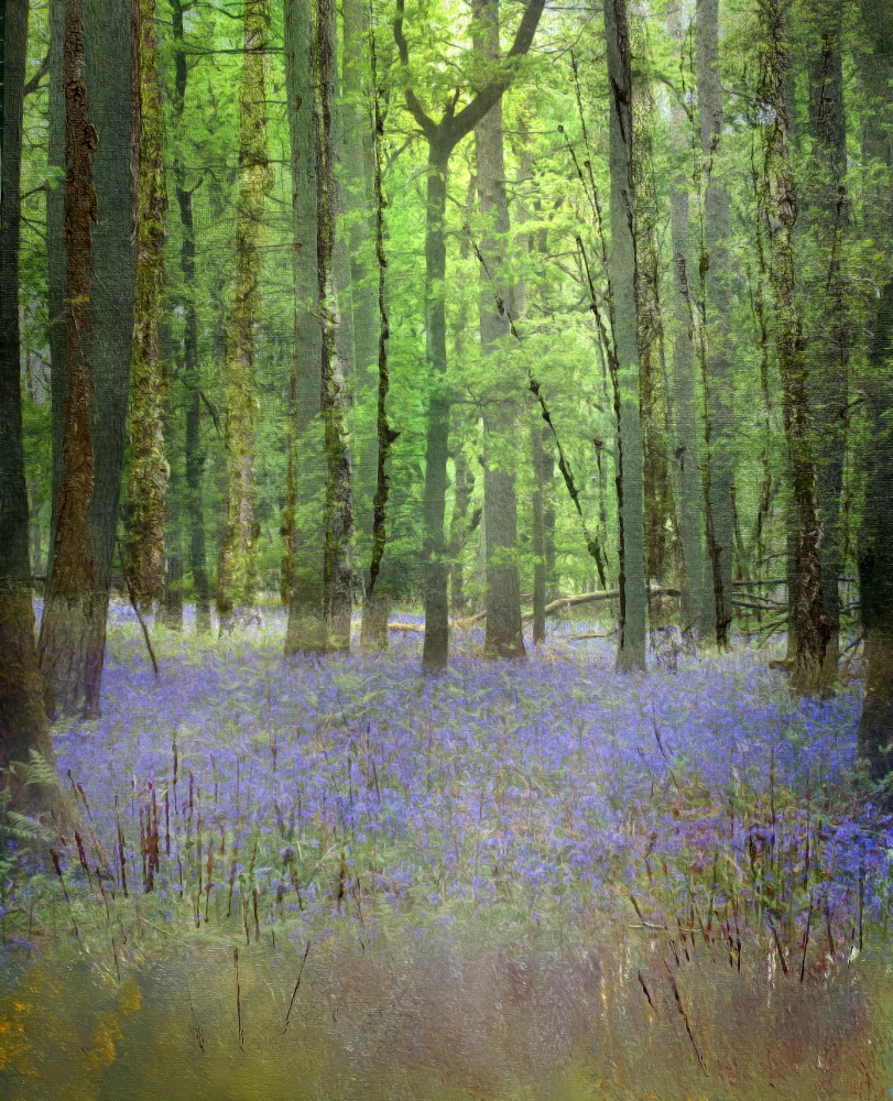 Return of the spring