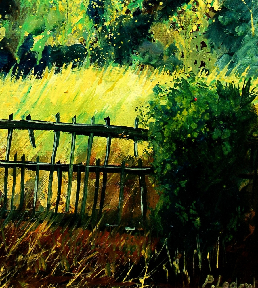 Old fence 