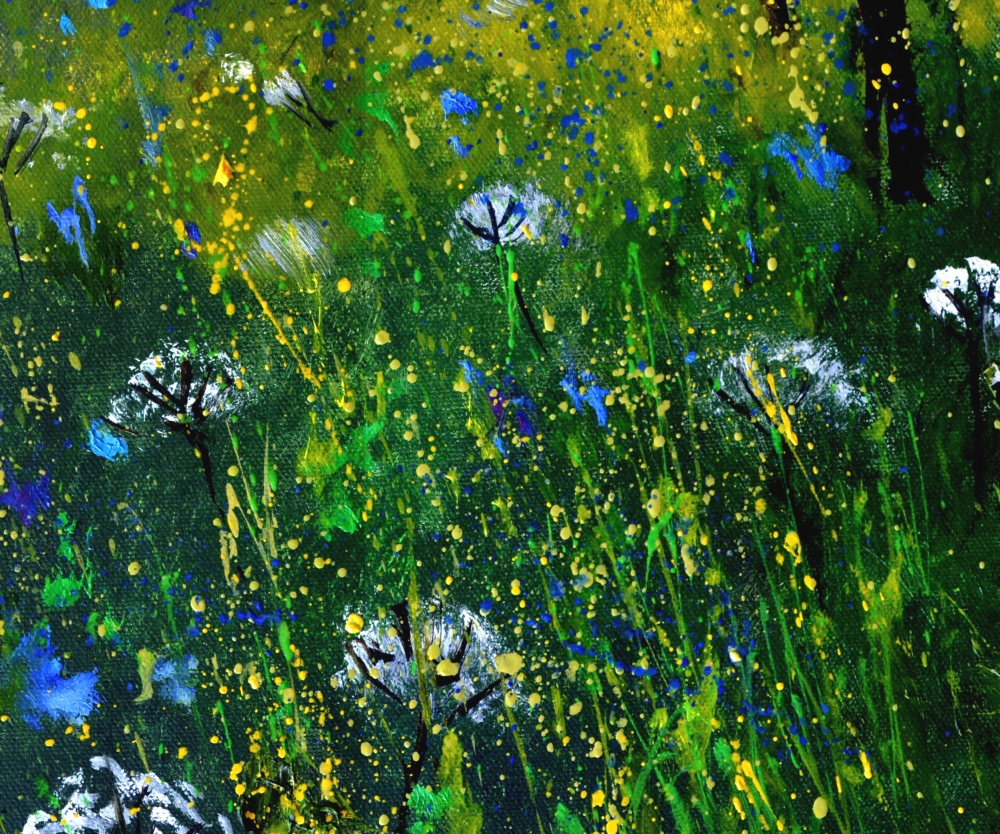 White and blue wild flowers 