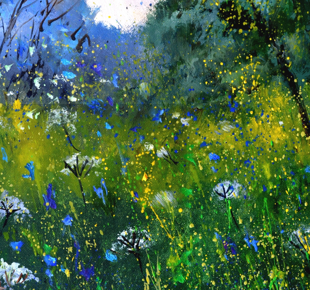 White and blue wild flowers 