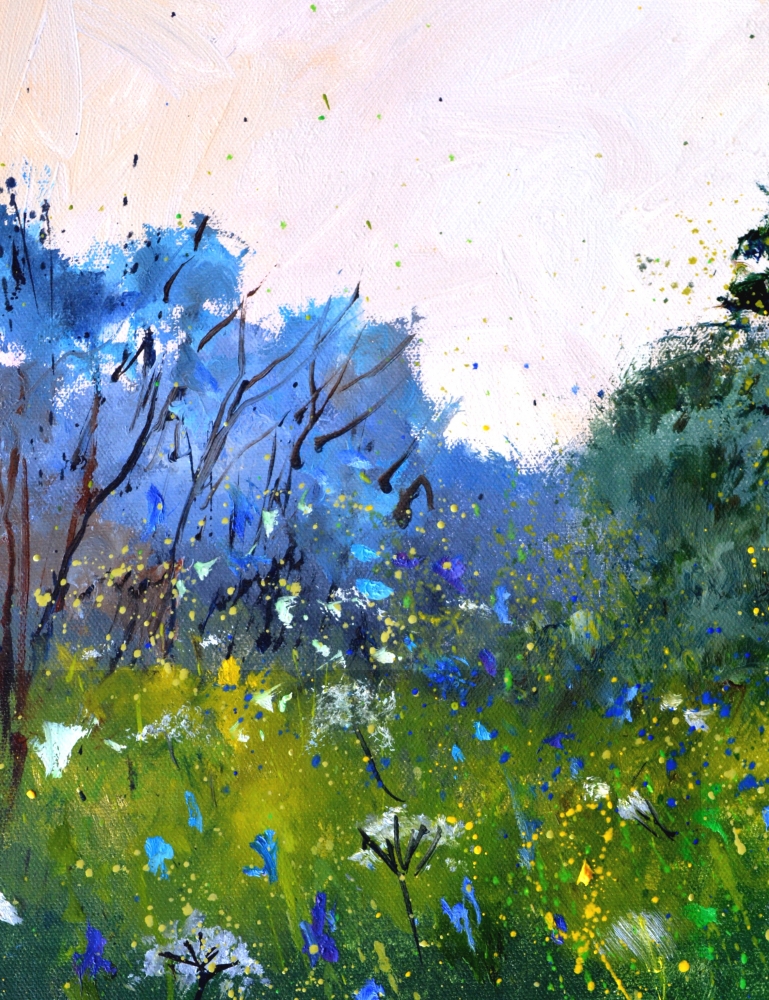 White and blue wild flowers 