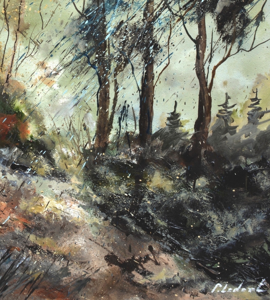 Winter light in the wood 