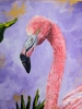 Pink Flamingo