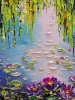 Water lilies 